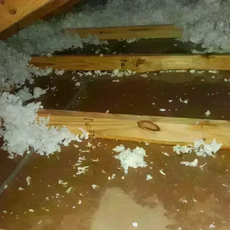 Attic Water Damage in Redmond, WA