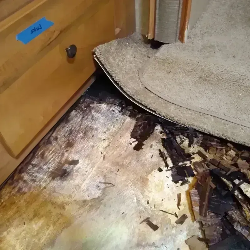 Wood Floor Water Damage in Redmond, WA